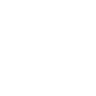 smart-plus smart +